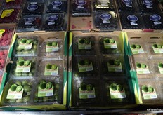 Kiwi berries, a small variety of kiwi fruit with a smooth, edible skin.