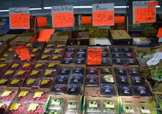 This stand focuses on the sale of berries.