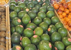 Difficult to see, but these avocados were very big.