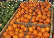 Blood oranges from Spain