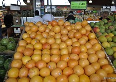 Grapefruit from United States