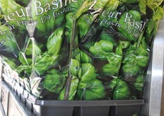 Fresh Basil