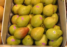 Organic pears