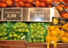 Limes and Meyer lemons