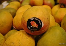 Some mangos are ripe and ready to eat