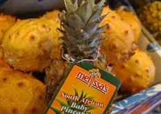 South African baby pineapple