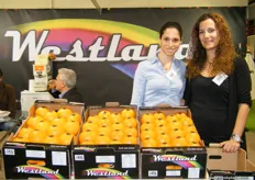 Anastasia and Konstantina of Westlandfruit, engaged in trading, distribution and exporting of agricultural products