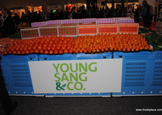 Tomatoes on colourful display.