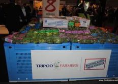 Packaged salads and salad mixes on display from Tripod farmers.