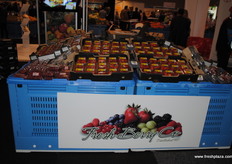 Fresh Berry Co. presented a great display of berries.