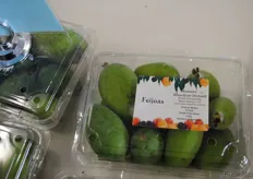 Rayners is quite possibly the largest grower of Feijoas within Australia. Feijoas are also called 'pineapple guavas' and although they are known for the amount grown in New Zealand, they come originally from the Southern Highlands of Brazil and Uruguay.