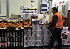 Kapris Bros is also a major tomato grower, they have a whole range on offer at the wholesale market.