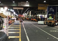 The Melbourne wholesale market is huge and very busy place, although we were told that the day we visited it was pretty quiet!