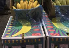 Australian grown Lady Finger bananas.