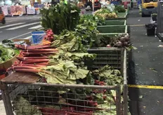 Bunches of rhubarb for sale.