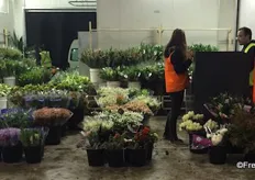 The wholesale market also has a busy flower market.