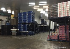 Kapiris Bros have a packhouse on the same site as the wholesale market.