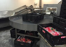 The packing operations were finished for the day (night( but would be staring up again very soon to supply the buyers for the next day.