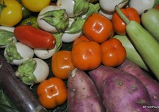 Persimmon from South Africa