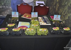 Tali Grapes brought three grape varieties from Israel