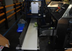 The fruit is bagged and ready for the final destination.