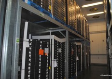 The avocado ripening room. Heat and air are used here, there are fans to keep the air flowing in and around the pallets the temperature must always be consistent.