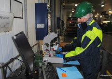 The avocados are sampled for ripeness.