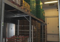 This is where the avocados are stored before going to the ripening room.