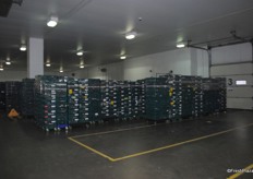 The fruit is bagged and ready to the retailers.