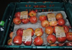 Royal Galas flowpacked in sixes for Marks & Spencer.