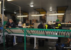 Avocado packing line, they are packed with 2-8 fruits in each pack.
