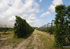 In this part the covers still need to get put in place, again wind has hampered the process.
