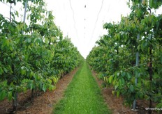 The tunnels here are from the Voen system, great for ventilation but wind and rain can cause slight problems.