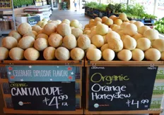 Organic Cantaloupes and Honeydews from Capay Farms and Full Belly Farms respectively.