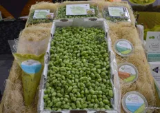 Green garbanzo beans and green hummus from Califresh of California.