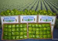 Baloian Farms' specialty: green peppers.