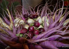 Brand new and launched at the PMA Foodservice show: purple Ninja radish from Babe Farms.