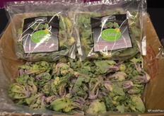 Kalettes from Tozer Seeds America, on display in the Ocean Mist booth.