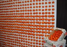 Tomato display in the booth of Oppy.