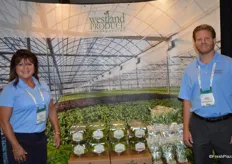 Denise Leonard and David VanWingerden with Westland Produce, showing living lettuce products.