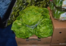 Living lettuce for foodservice. Not using a clamshell allows for twice as many cases to go on a pallet.