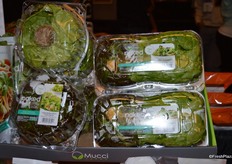 This is US grown lettuce from Mucci's Naked Leaf line. As of next week, Canadian grown lettuce from this product line will be available.