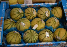 Melons from the Charantais-variety and the brand Philibon. The name of Philibon is lasered in the fruit.
