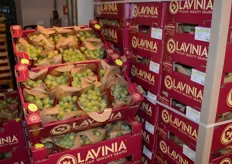Rudolf Leimer offers seedless Italian grapes from the brand Lavinia.