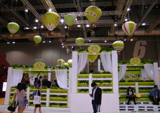 Isn´t it beautiful? At the Zespri stand..