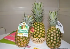 Sweet Malaysian pineapples at the fair