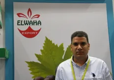 Amr El Menasy, Chairman of Elwaha (Egypt)