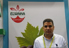 Amr El Menasy, Chairman of Elwaha (Egypt)
