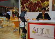 Leylha Rebaza García from Provider, Peru.