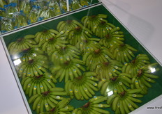 BanaBay, great use of floor space!